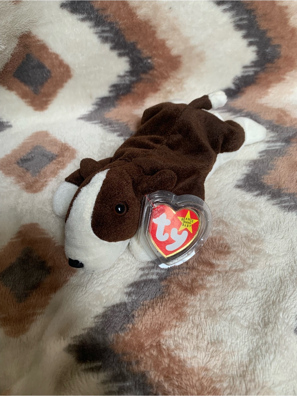 TY Beanie Baby - BRUNO the Bull Terrier Dog (8.5 inch) Stuffed Animal Toy